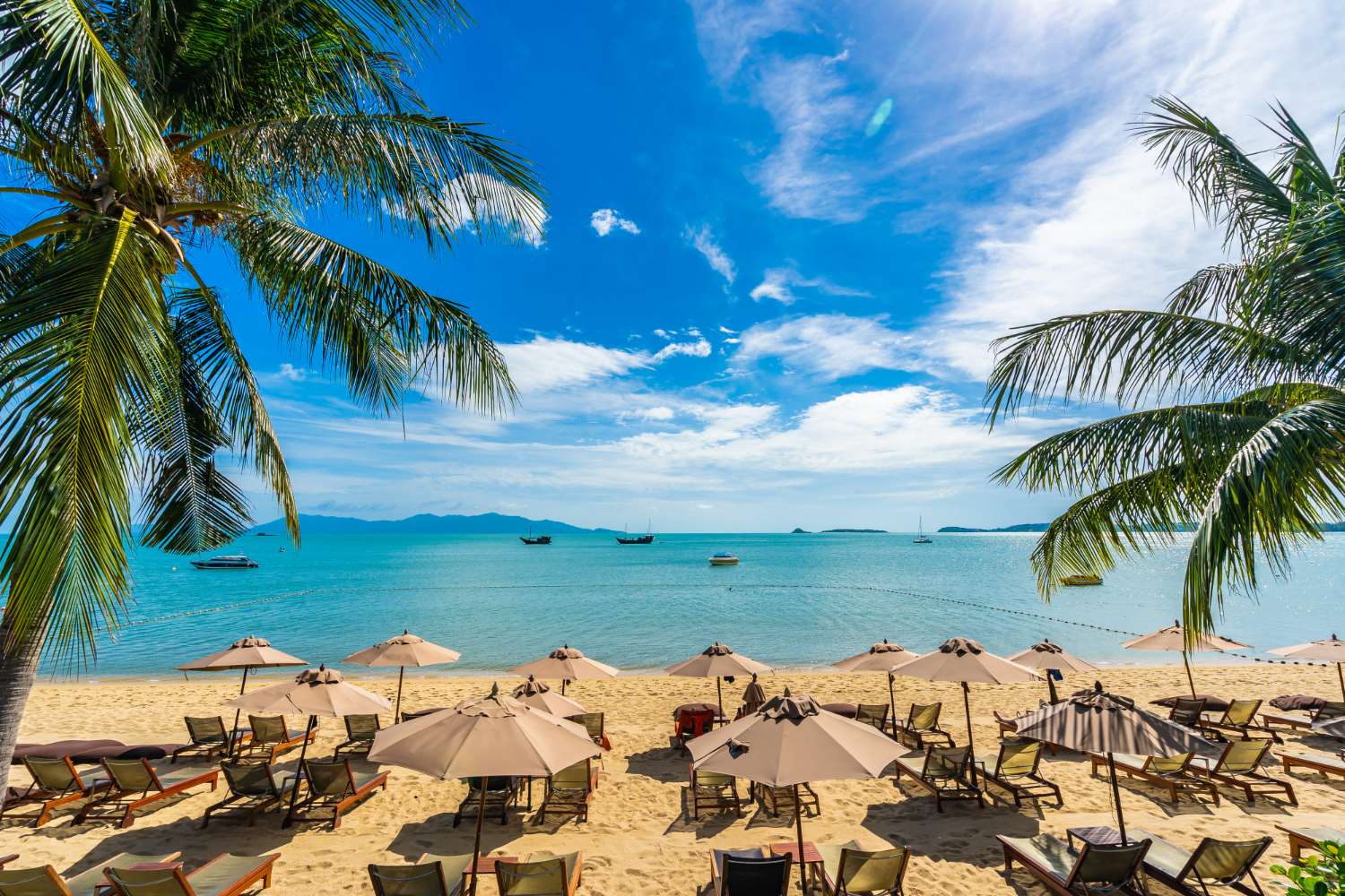 Tropical beach resort with tan umbrellas