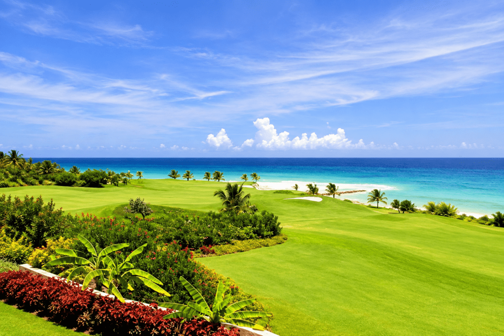 Ocean view across the Rose Hall golf course
