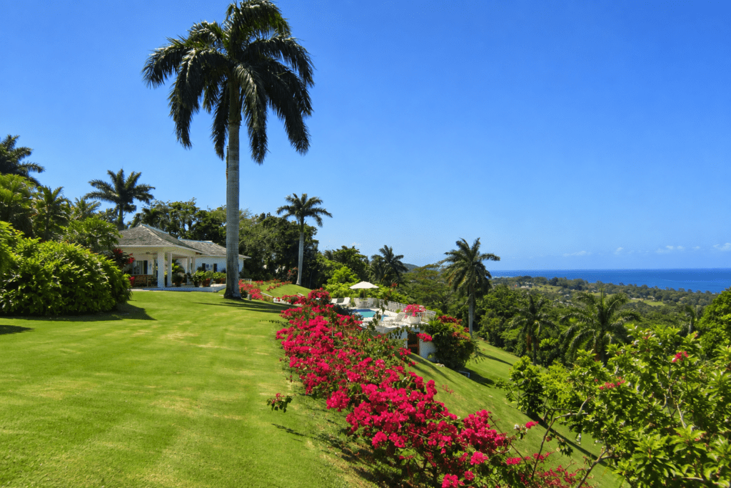 Palm-lined Rose Hall golf course