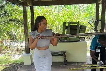 Visitor taking part in a sugarcane demonstration at Appleton Estate in Jamaica