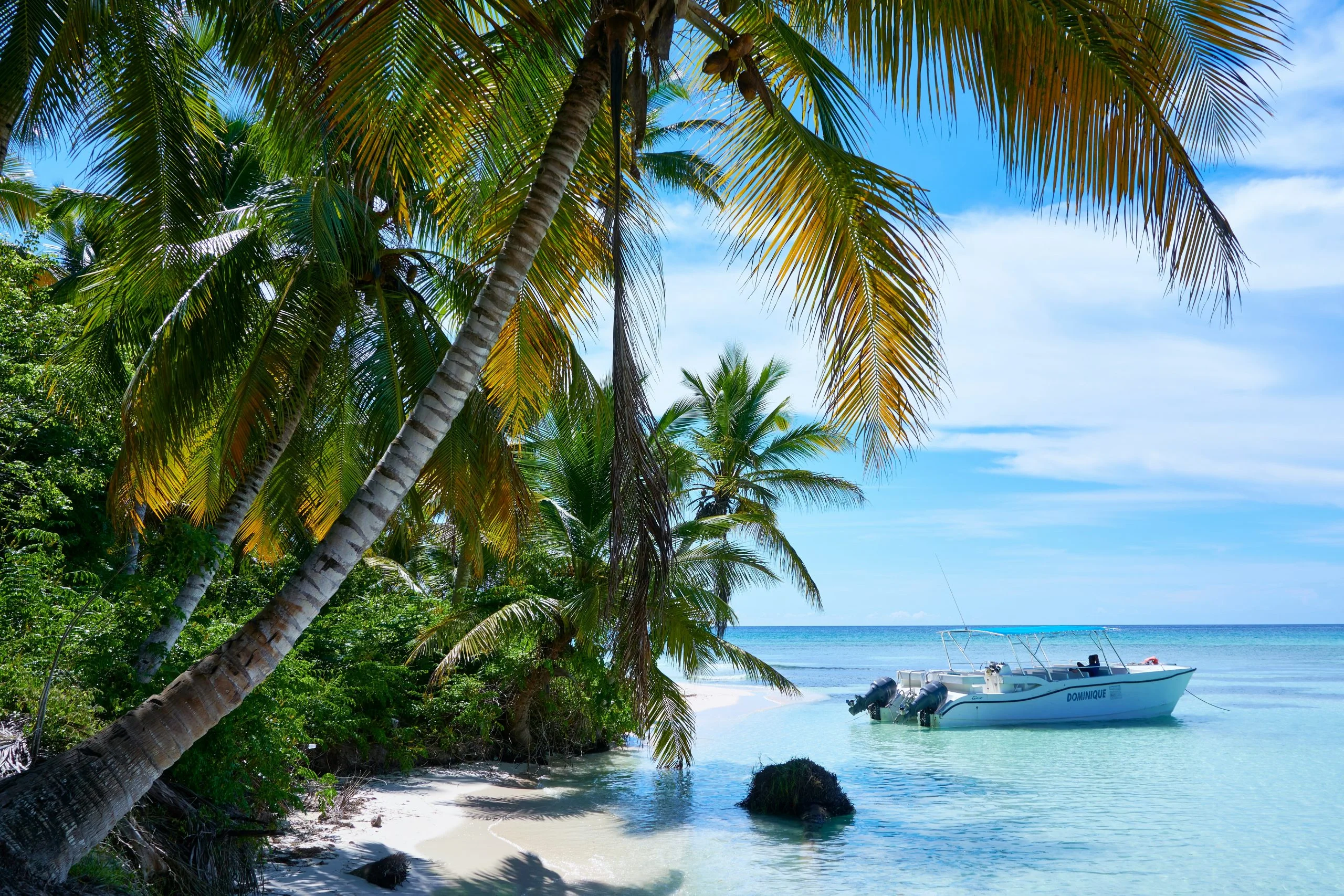 Private Jamaica excursion on the beach