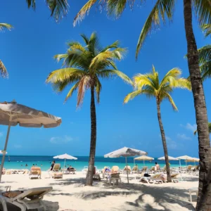 Round Trip Private Transfer – MBJ Airport to Montego Bay Hotels