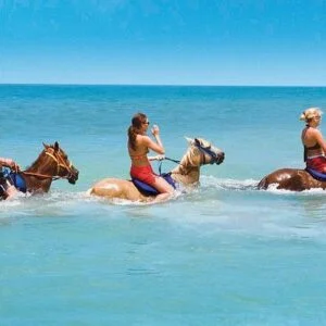 Round Trip Private Transfer – MBJ Airport to Grand Palladium Resort (Lucea)